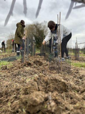 Votre participation, un impact toujours aussi fort pour l’environnement !